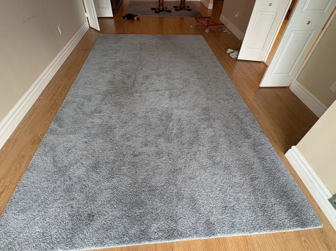 Free delivery used Grey Shag Area Rug - photo 2