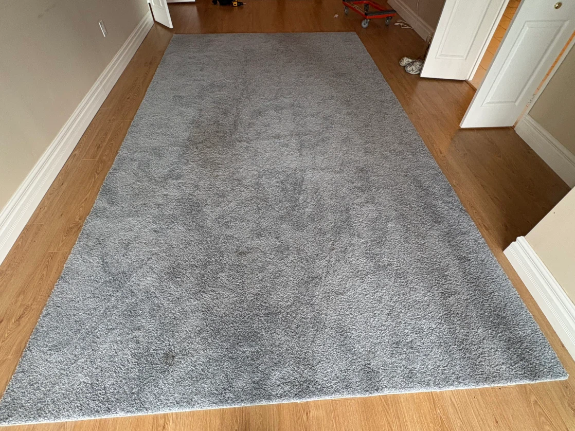 Free delivery used Grey Shag Area Rug - photo 3