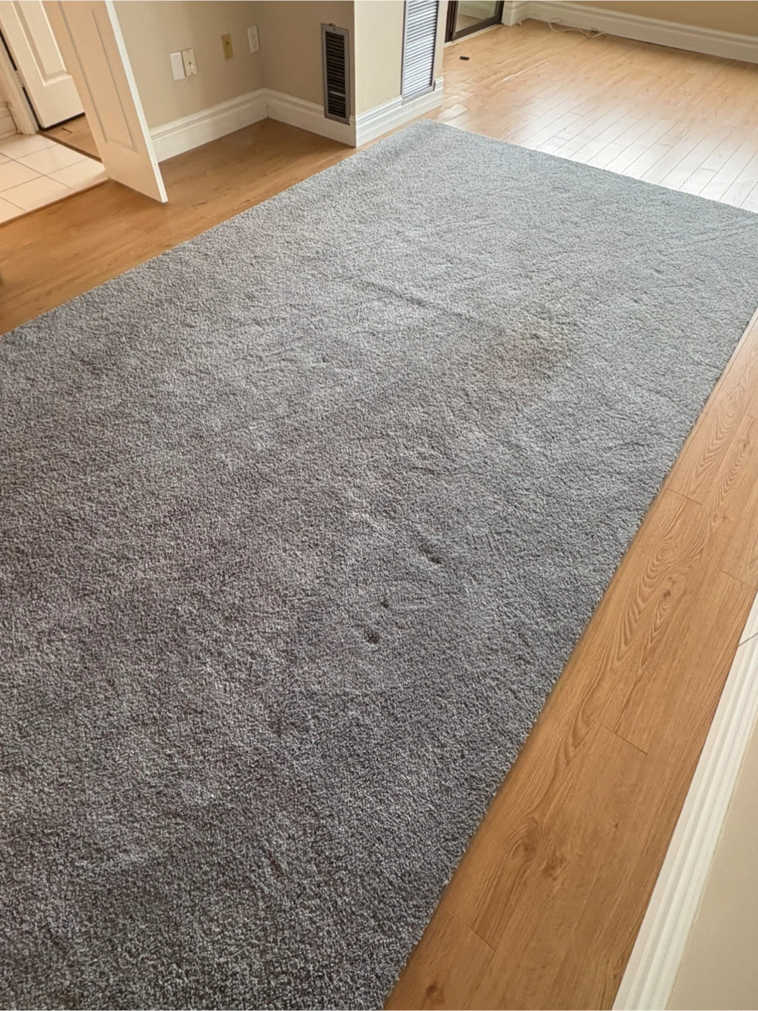 Free delivery used Grey Shag Area Rug - photo 5