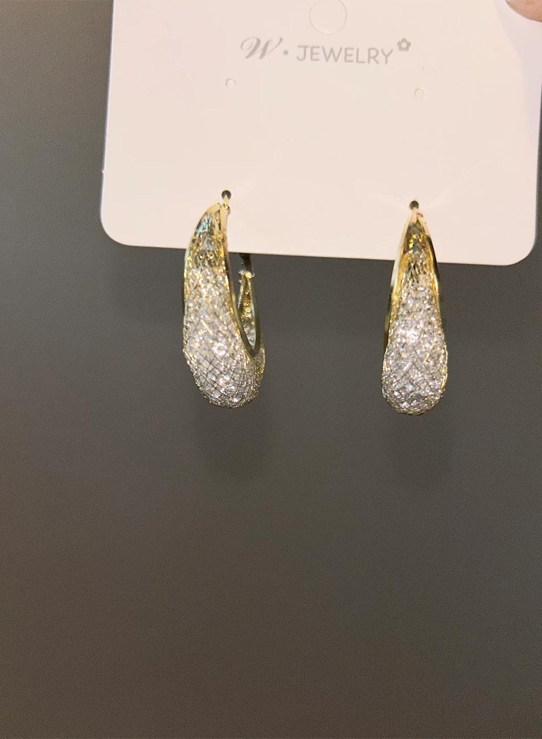W. JEWELRY Crystal Hoop Earrings - photo 3