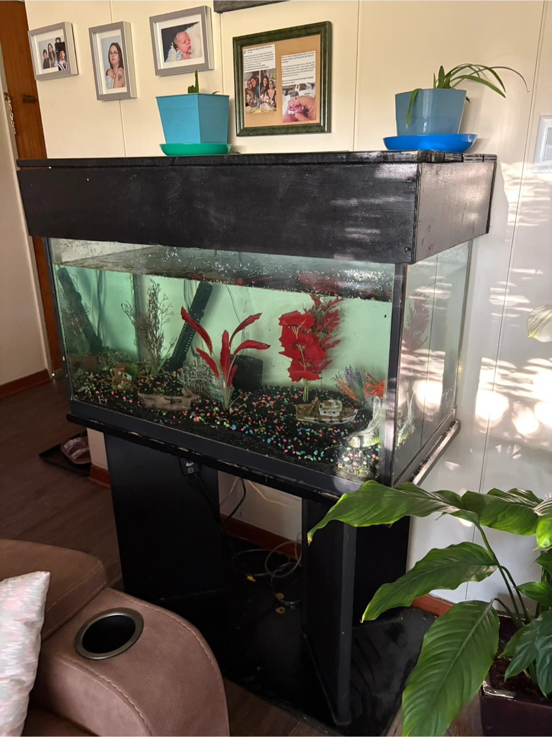 Aquarium with stand and accessories