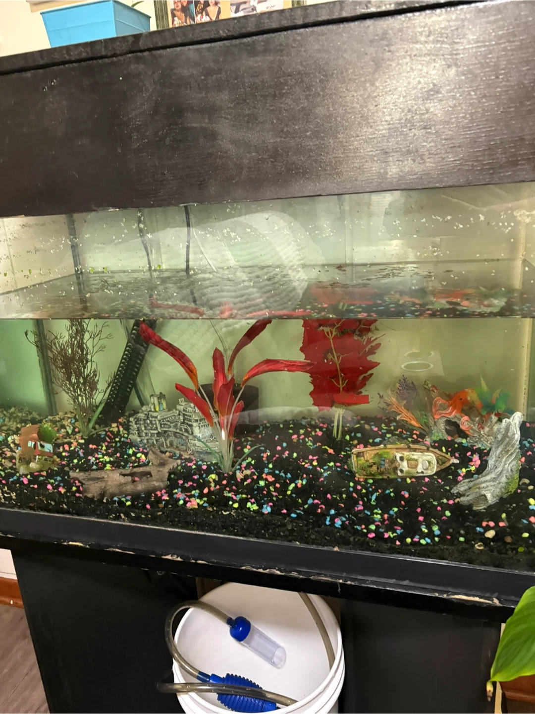 Aquarium with stand and accessories - photo 2