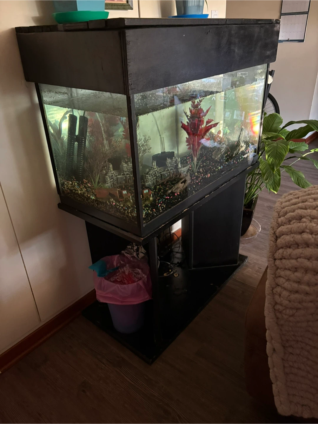 Aquarium with stand and accessories - photo 3