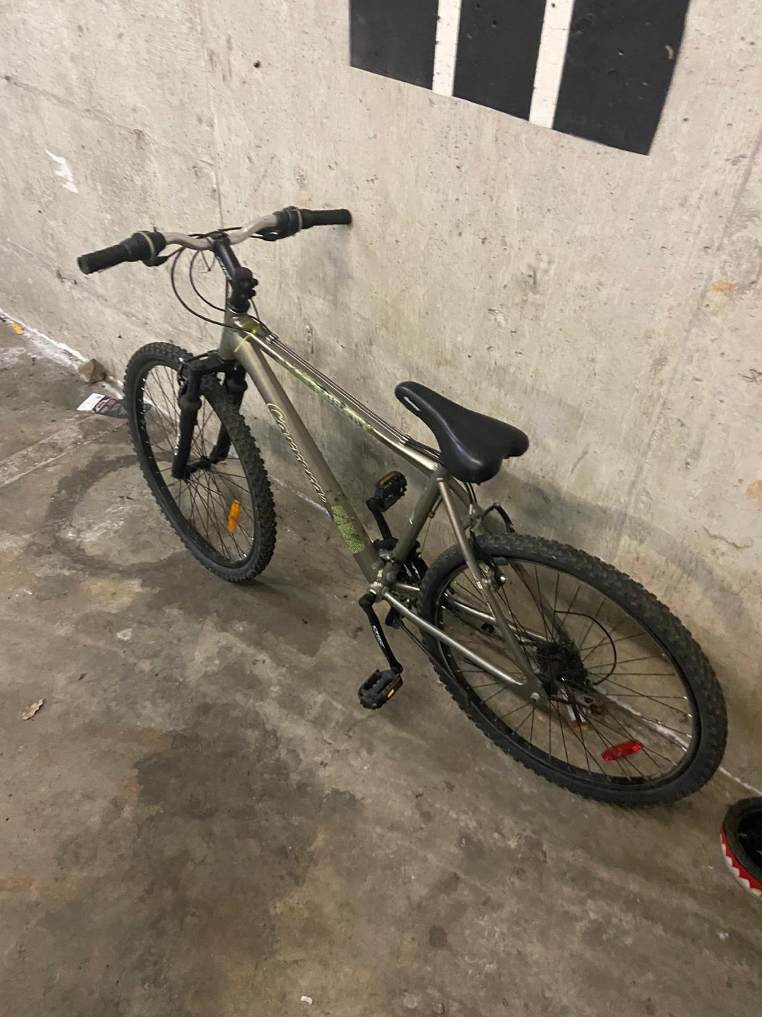 Mountain Bike