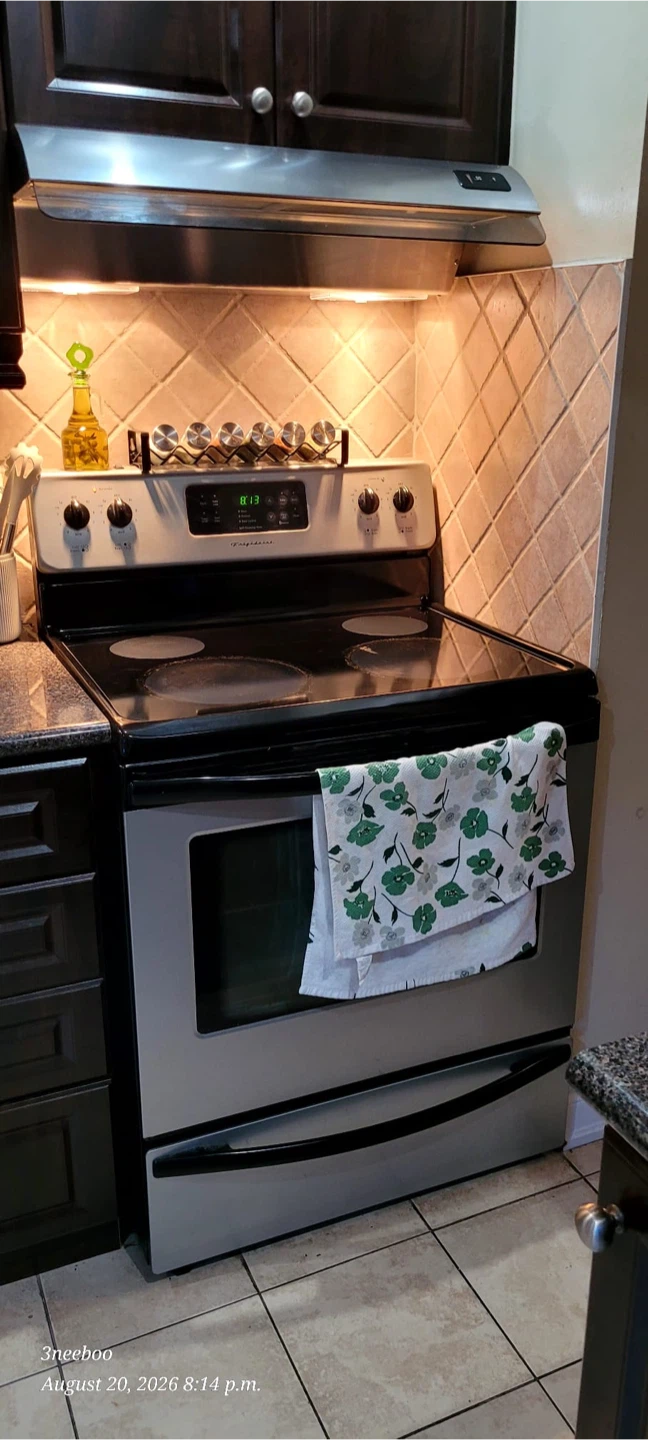Electric Stove