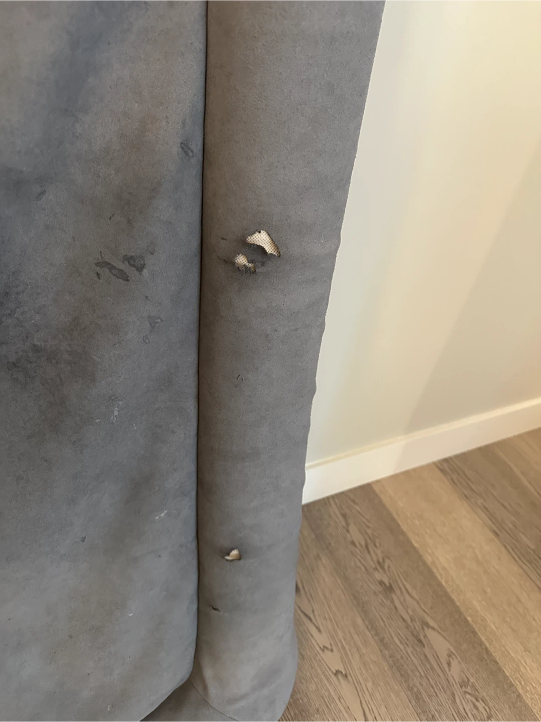Casper Dog Bed Large - photo 3