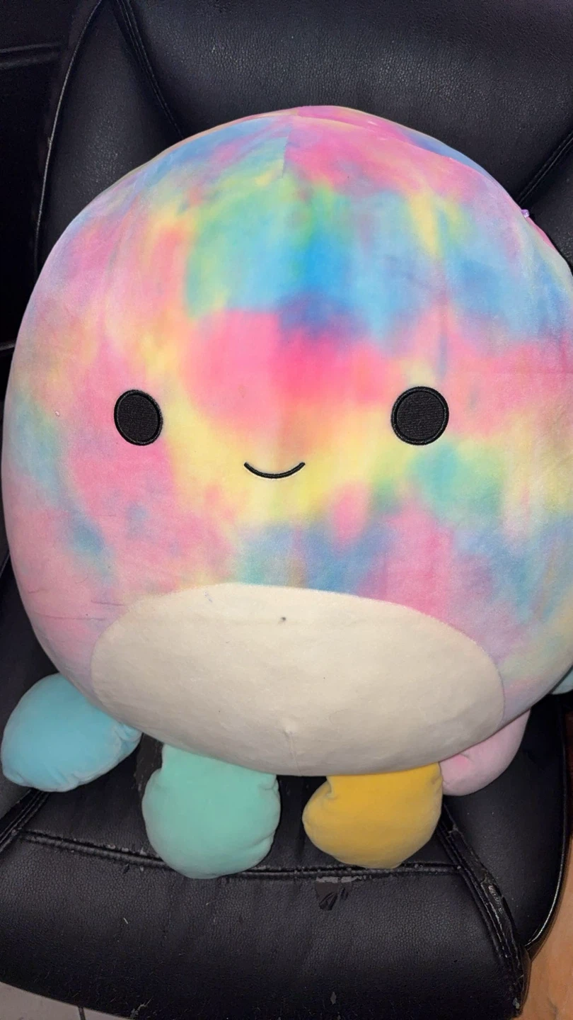 Large Squishmallows($10-$15 each or $55 for all)