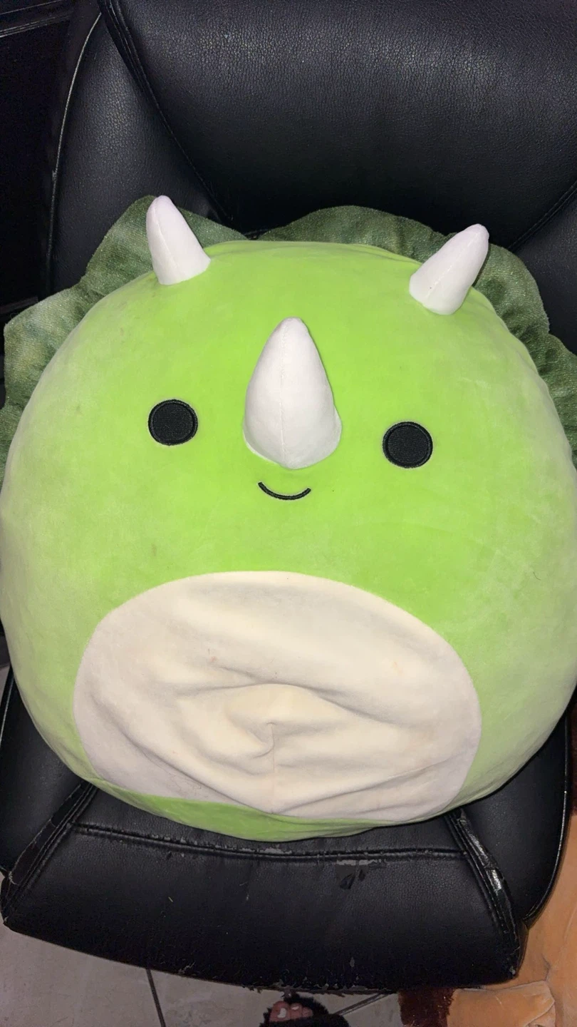 Large Squishmallows($10-$15 each or $55 for all) - photo 2