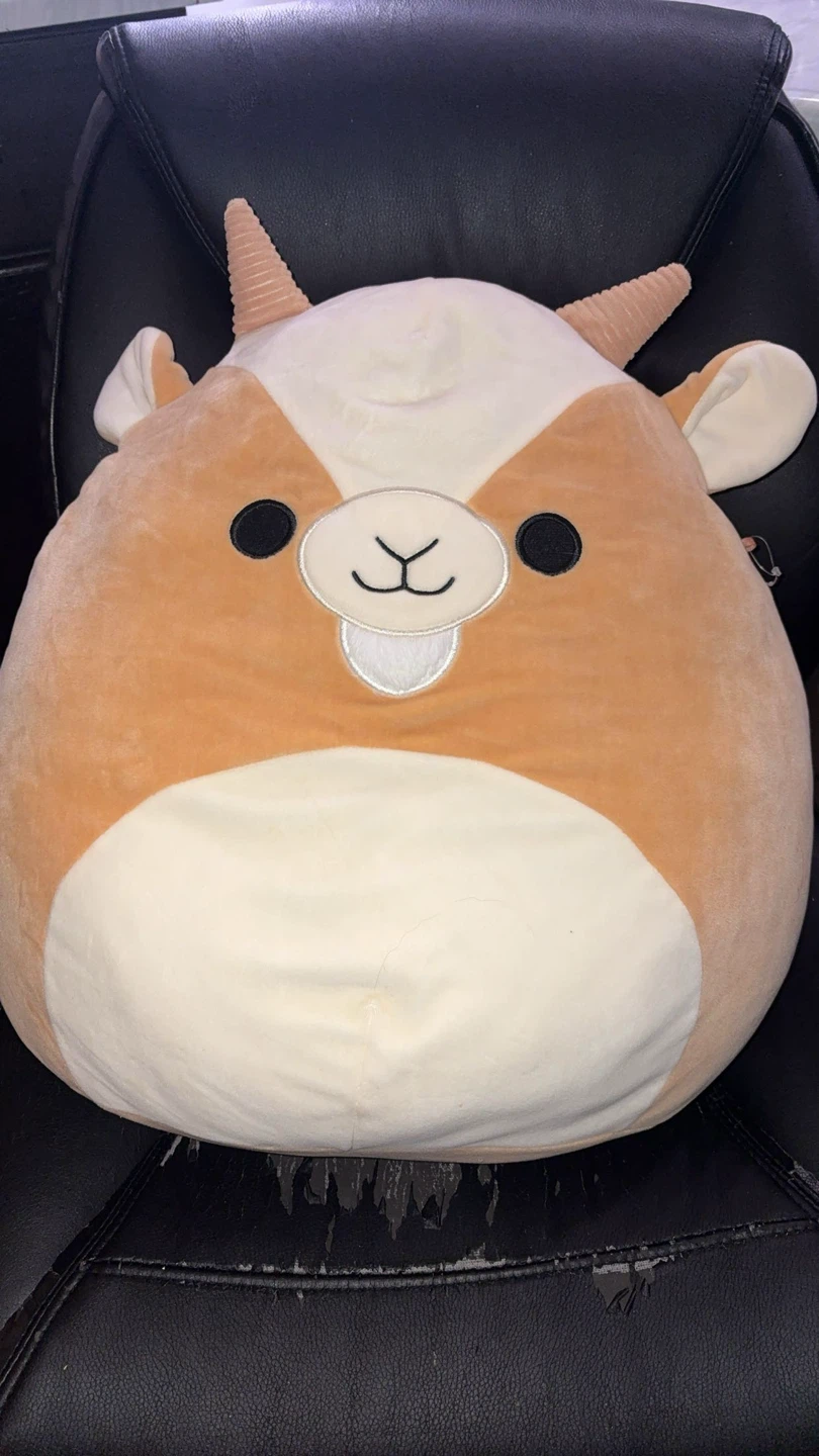 Large Squishmallows($10-$15 each or $55 for all) - photo 3