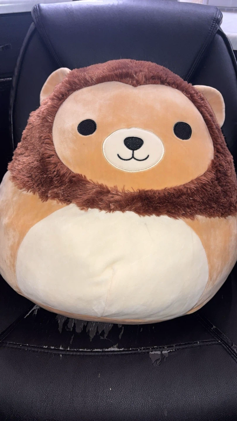 Large Squishmallows($10-$15 each or $55 for all) - photo 5