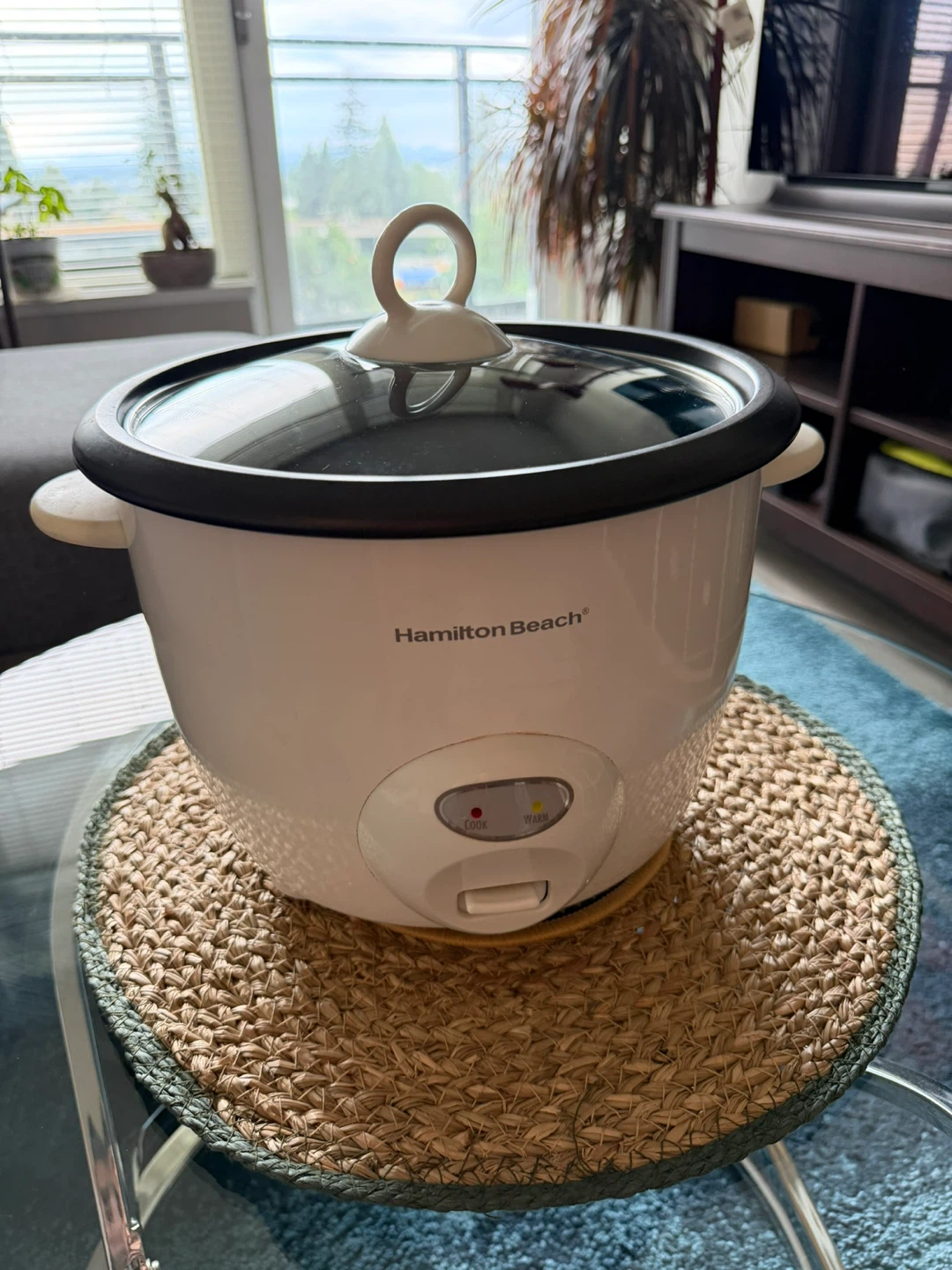 Hamilton Beach Rice Cooker