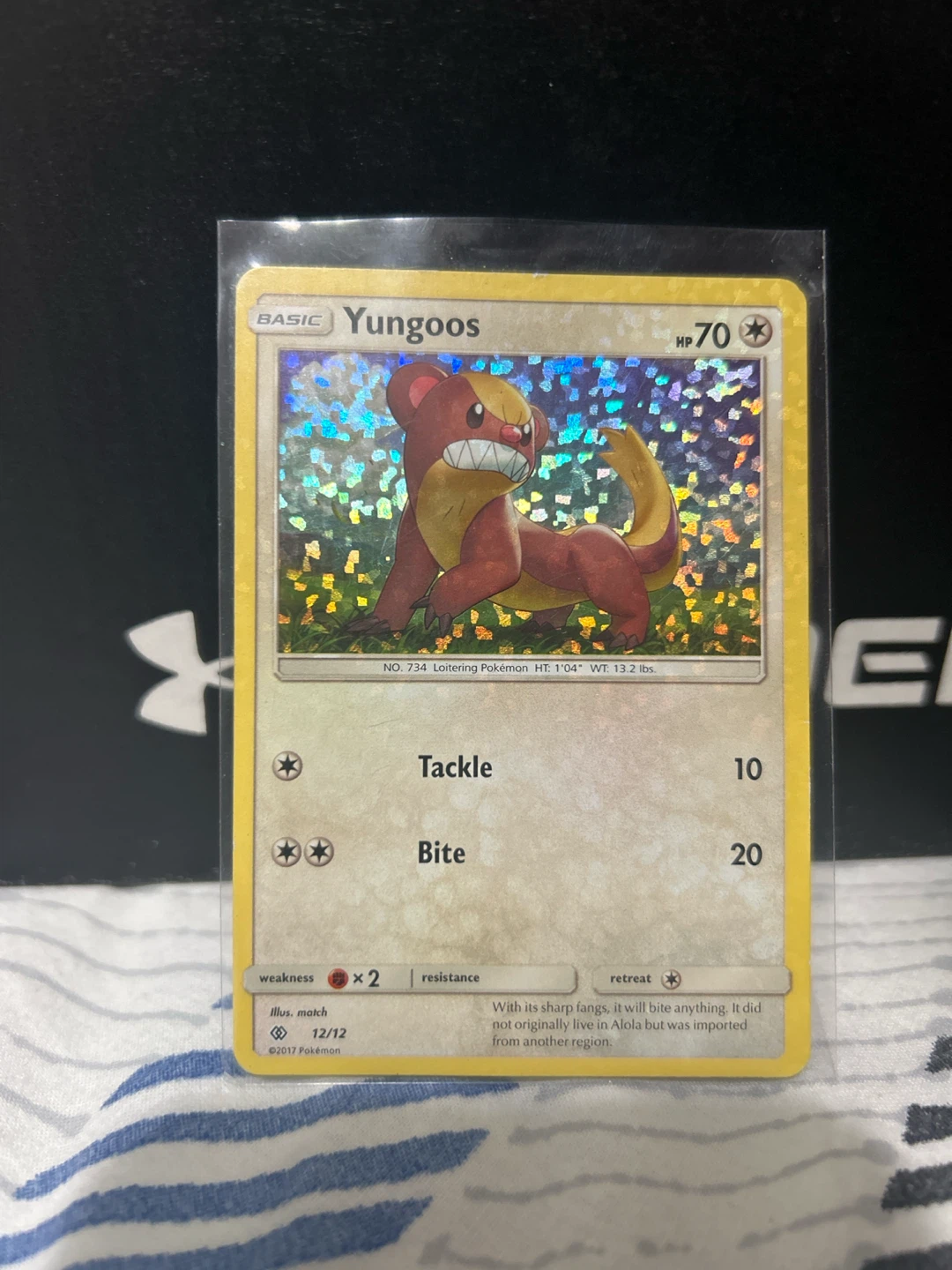 Holo Yungoos Pokemon Card 12/12