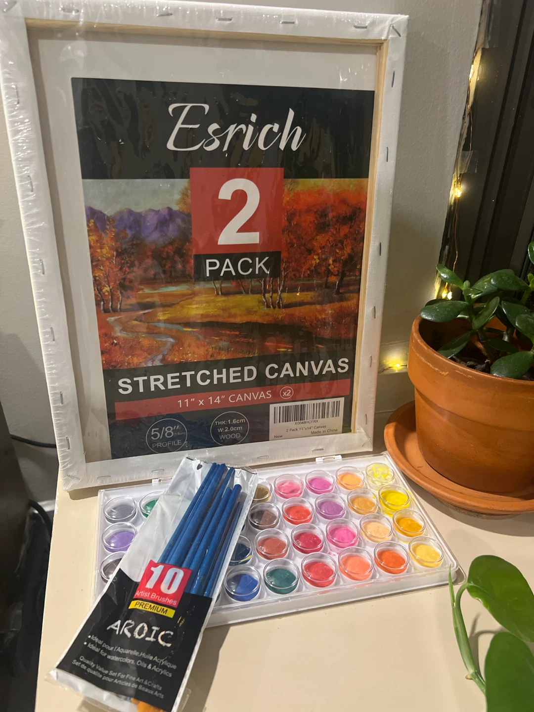 New 2 Stretched Canvas 11" x 14" with water color and brushes
