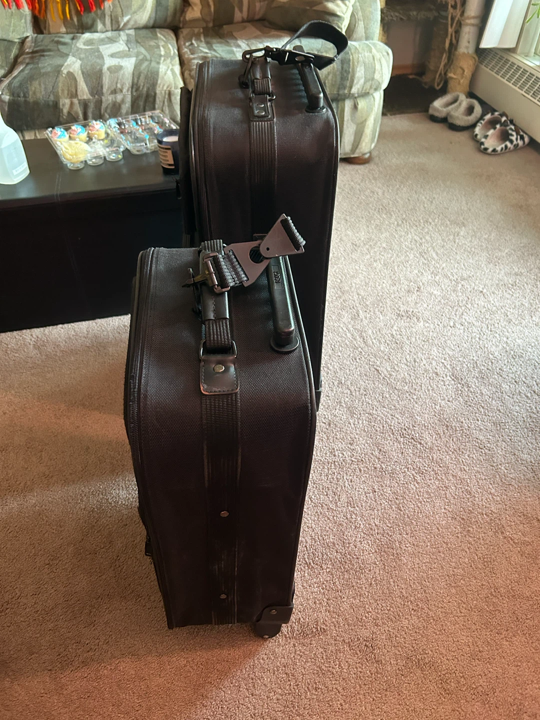 Black Delsey Luggage Set