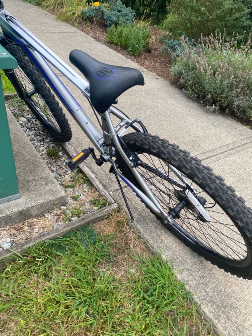 Mongoose Mountain Bike