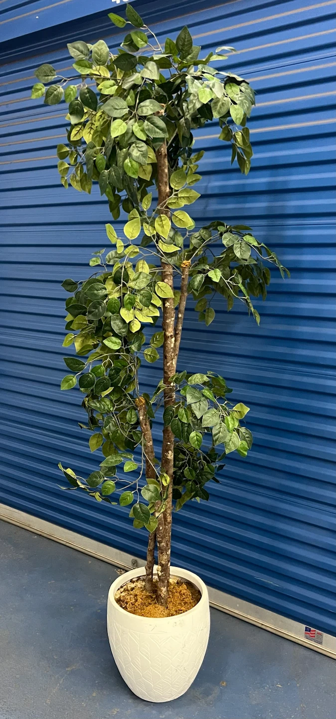 Artificial Ficus Tree in Decorative Pot