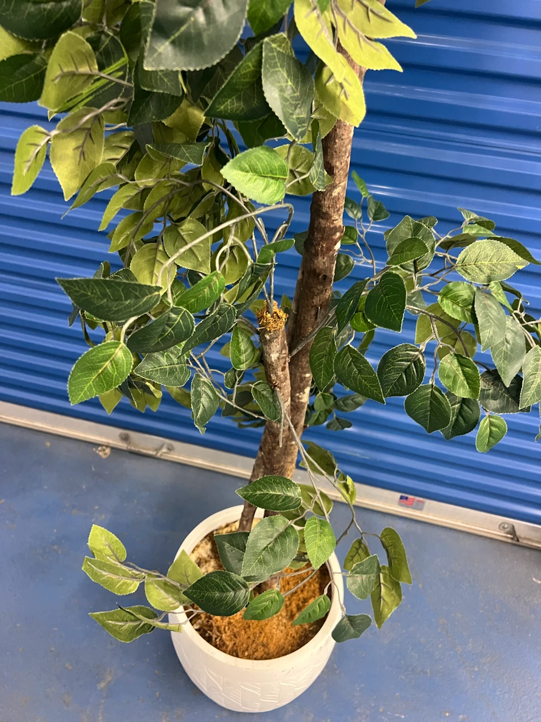 Artificial Ficus Tree in Decorative Pot - photo 4
