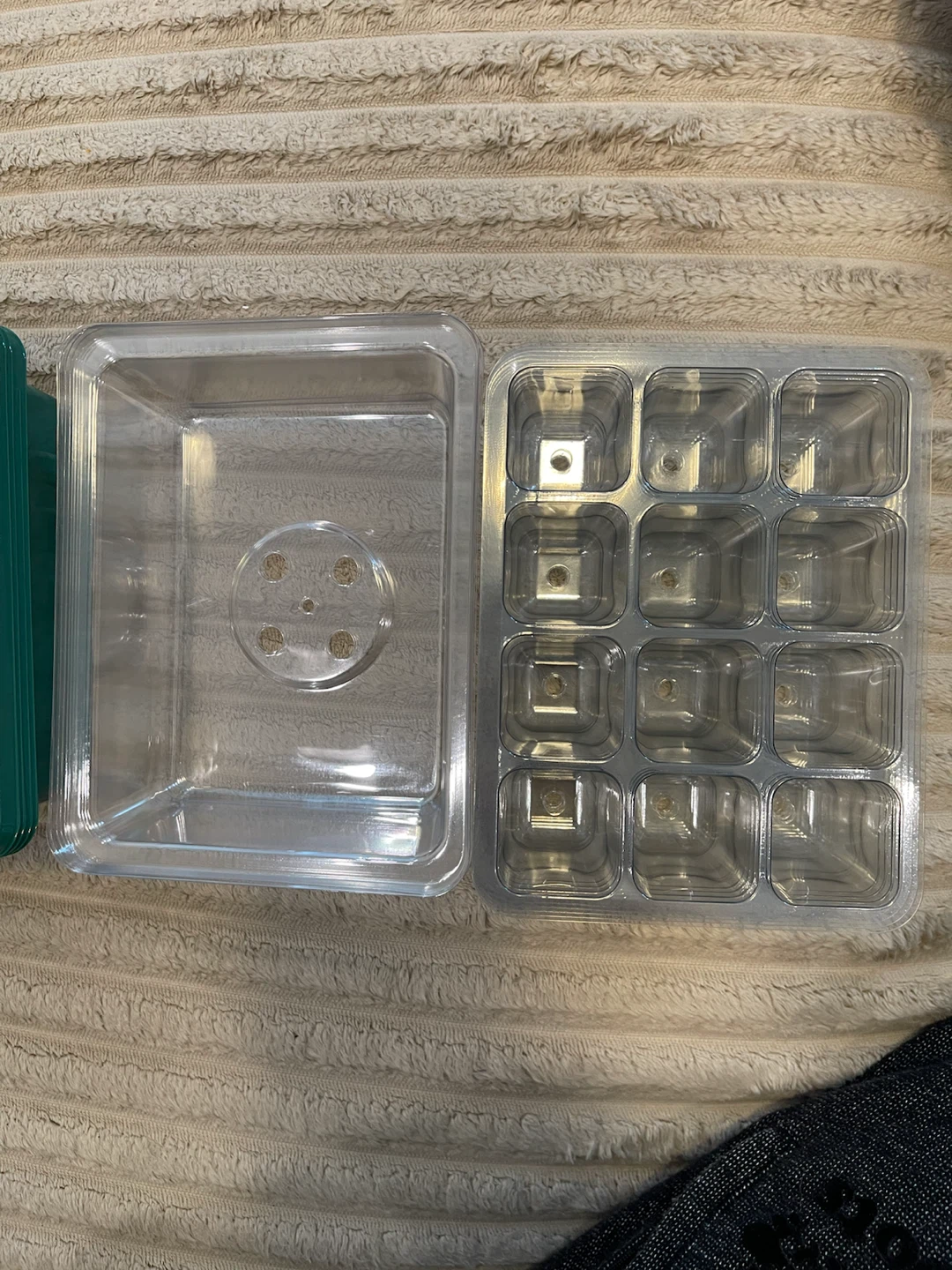 Seedling Starter Tray Kit with Lid - photo 3