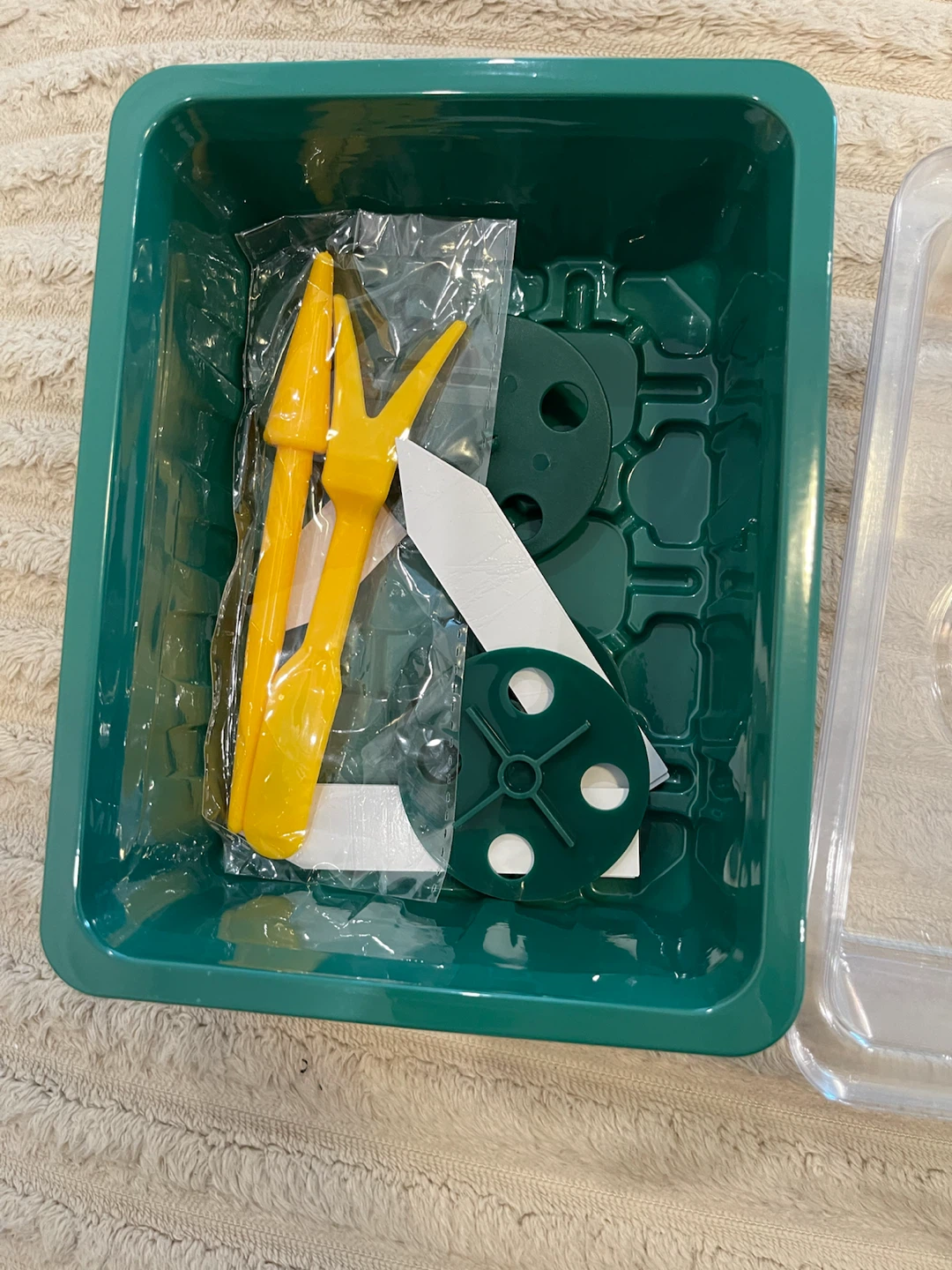 Seedling Starter Tray Kit with Lid - photo 4