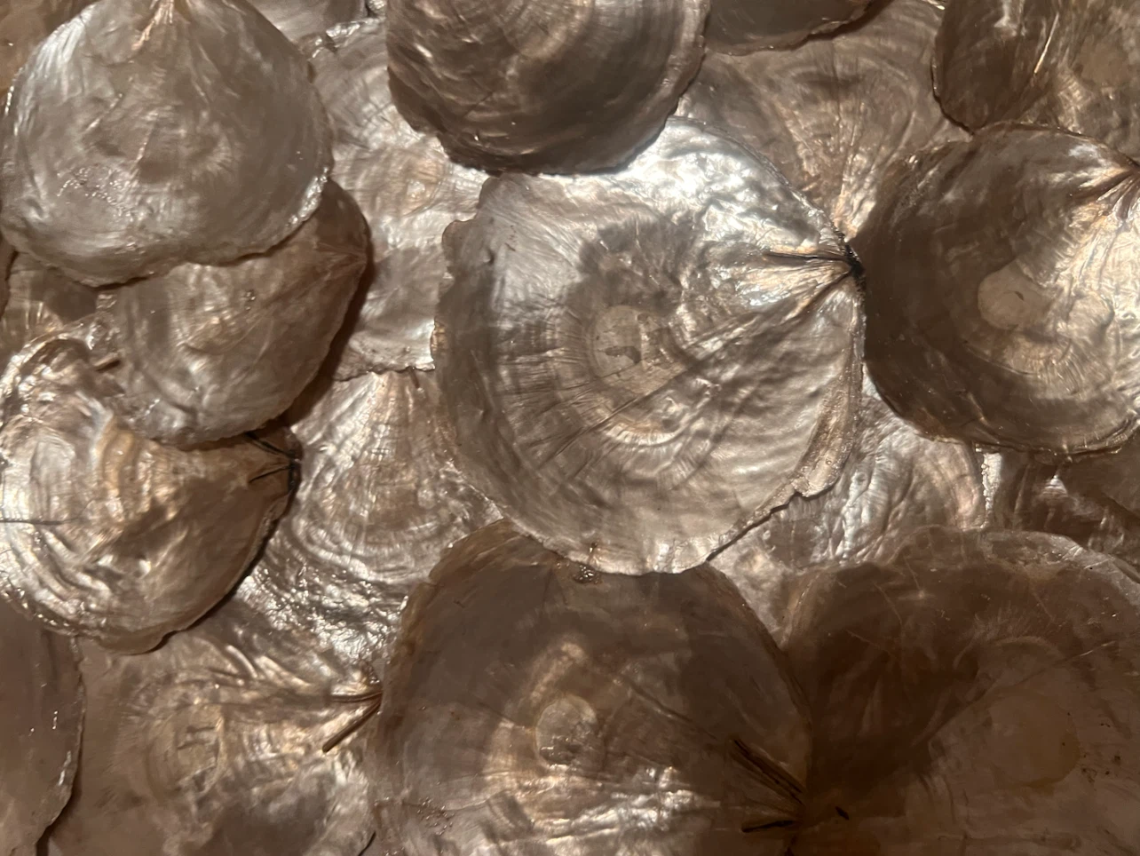 Framed Capiz Shell Wall Art - photo 4