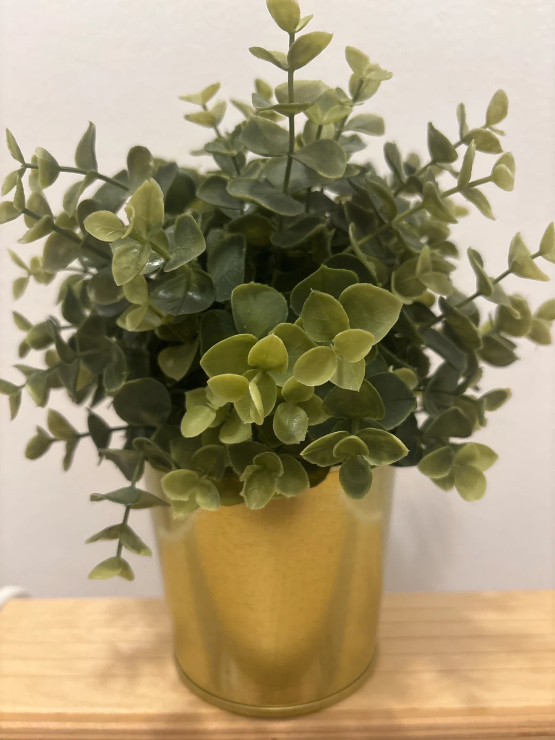 Artificial Eucalyptus Plant in Gold Pot