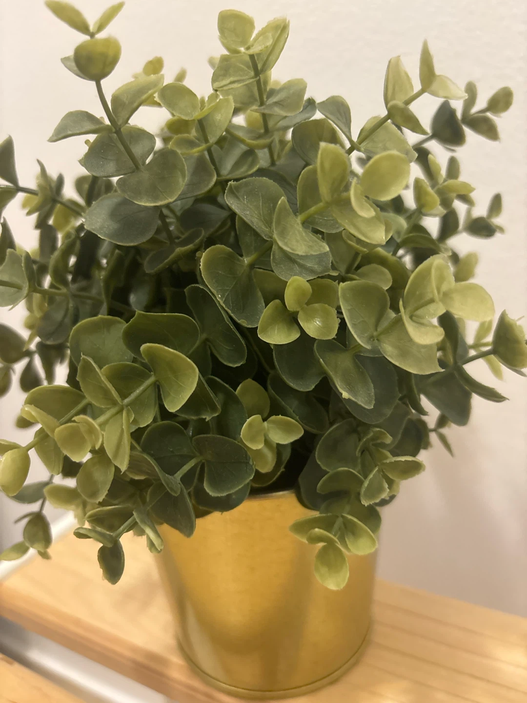 Artificial Eucalyptus Plant in Gold Pot - photo 2