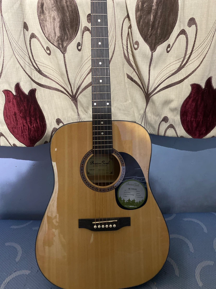 Beaver Creek BCTD101 Acoustic Guitar