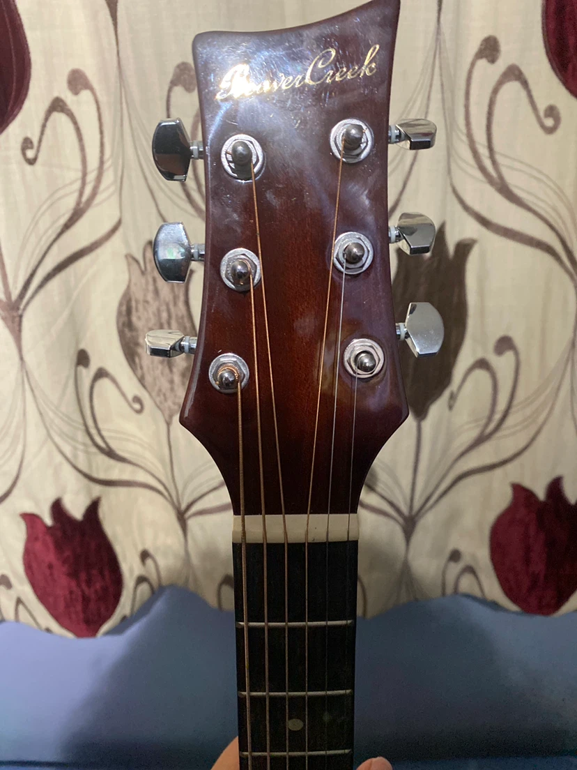 Beaver Creek BCTD101 Acoustic Guitar - photo 4