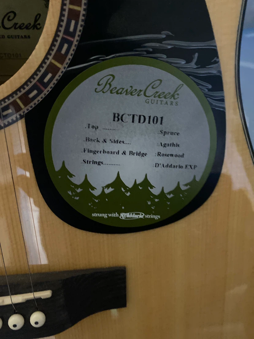 Beaver Creek BCTD101 Acoustic Guitar - photo 5
