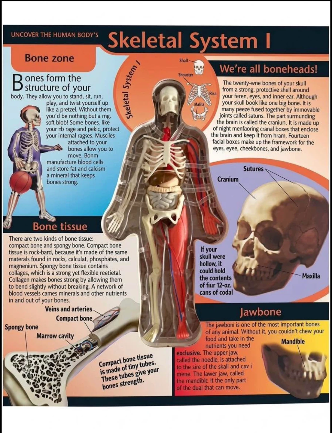 3D Human Body Book - photo 2