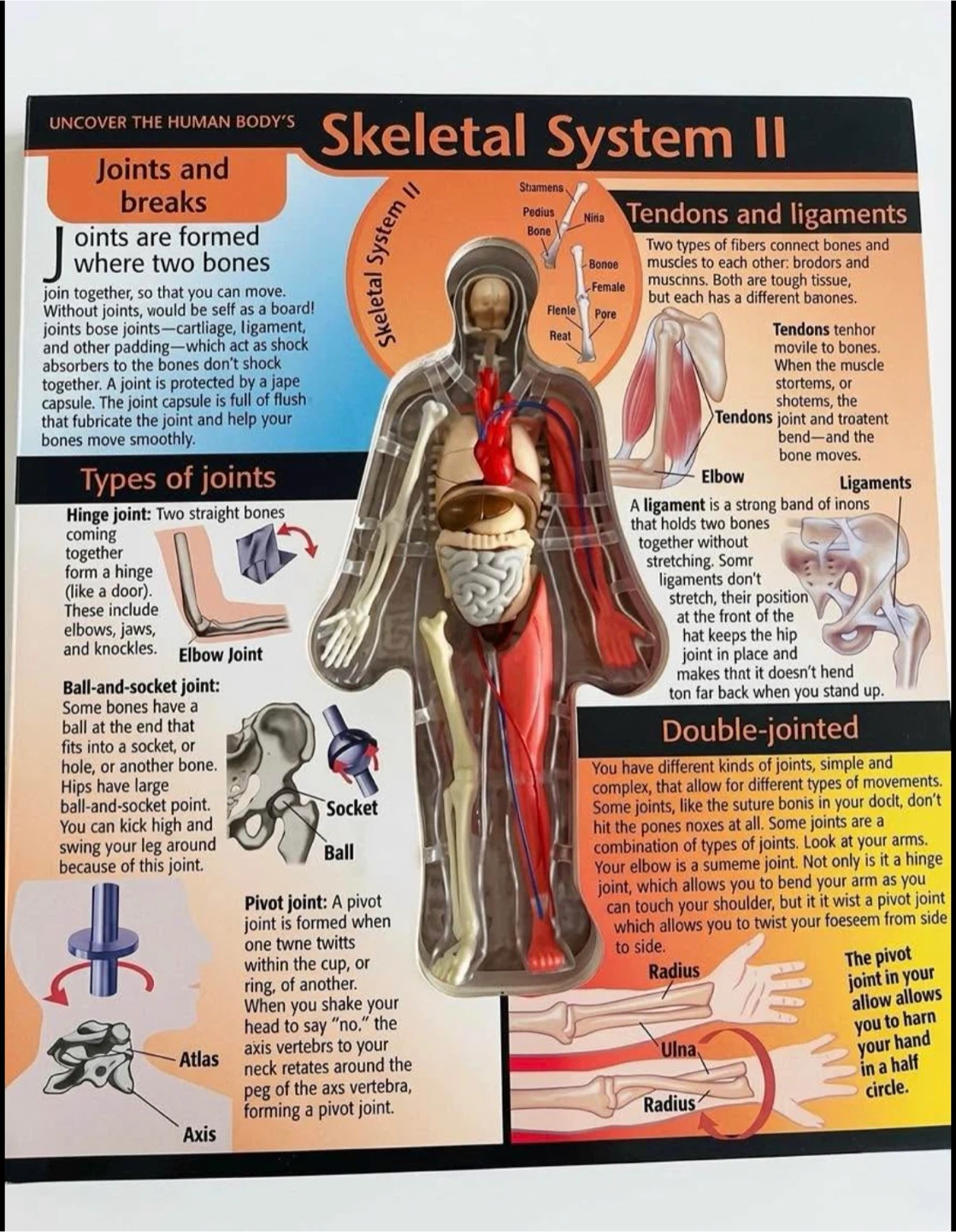 3D Human Body Book - photo 3