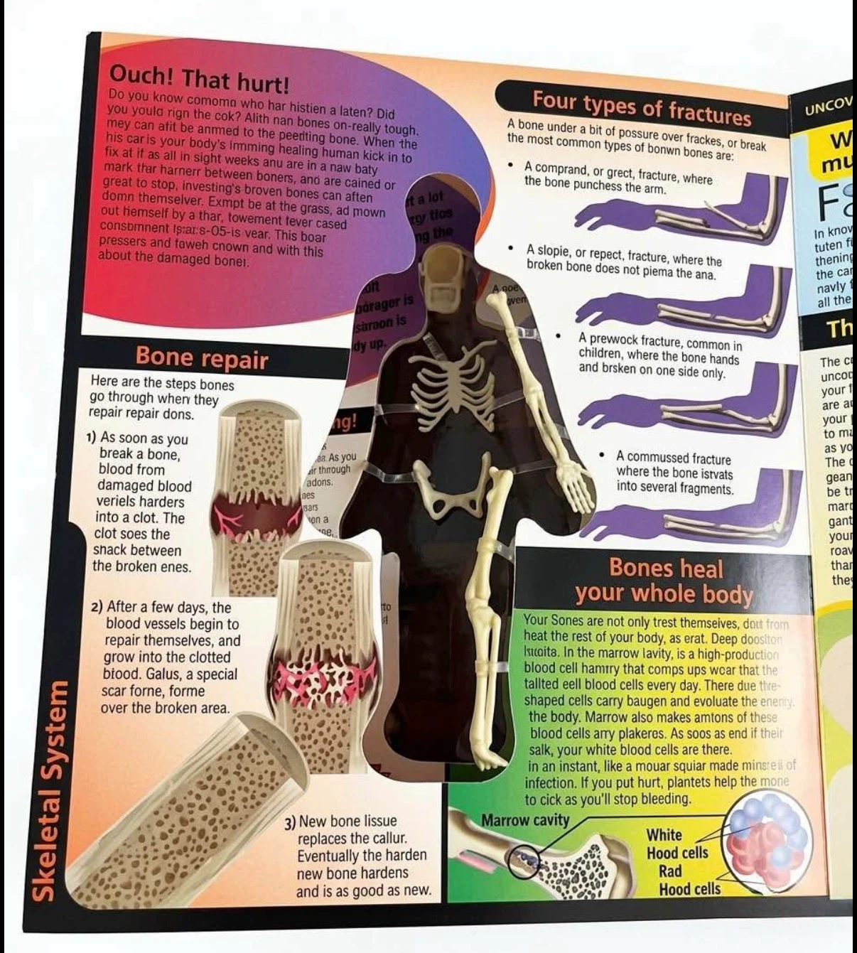 3D Human Body Book - photo 4