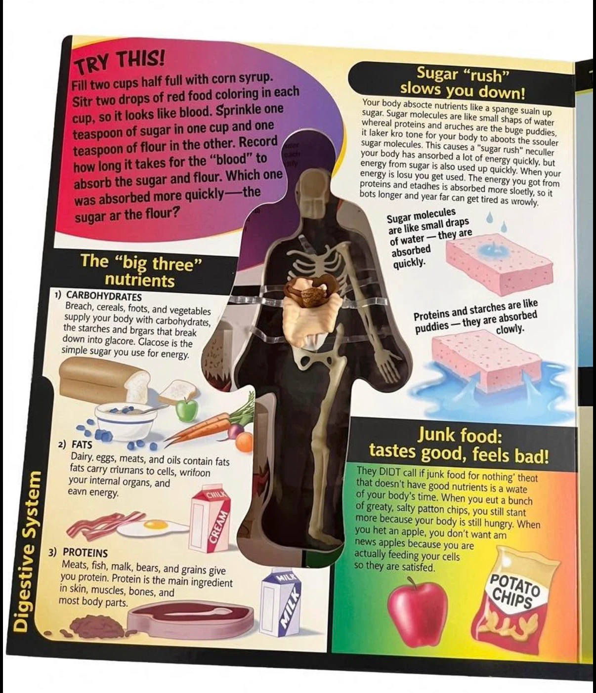 3D Human Body Book - photo 5