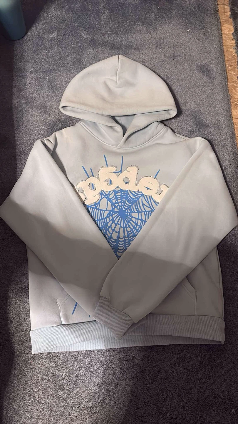 Spider hoodie