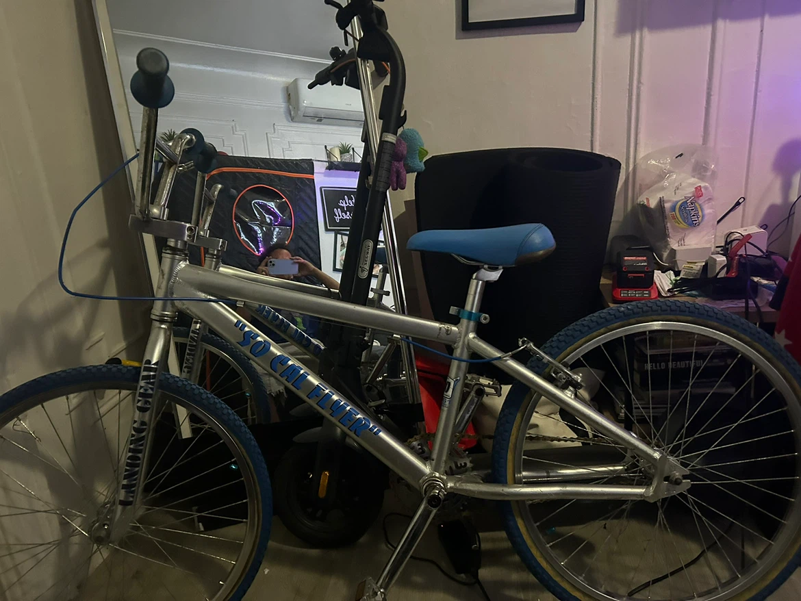 SE Bikes "So Cal Flyer" BMX Bike