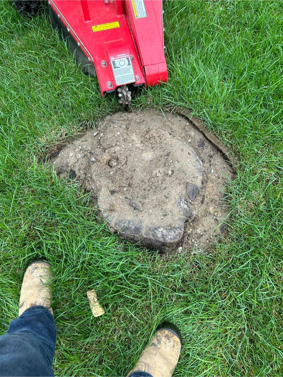 Professional stump grinding and removal service - photo 3