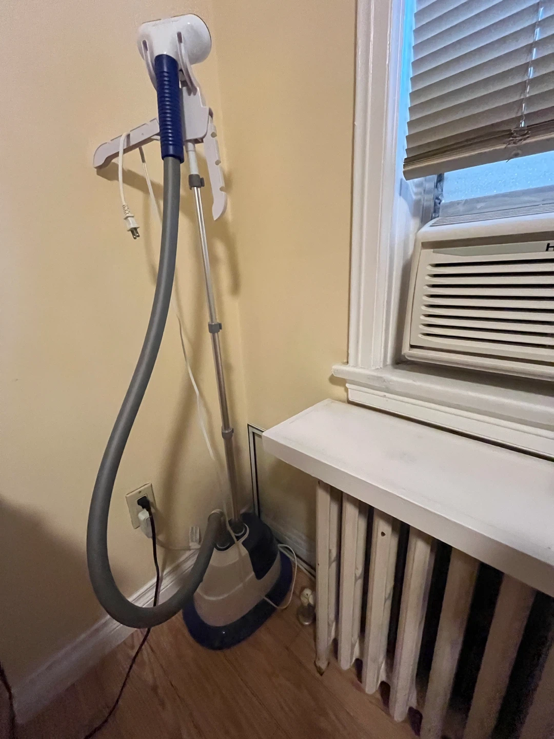 Salav Professional Garment Steamer