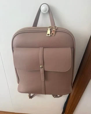 Pink bag (New) (Free)