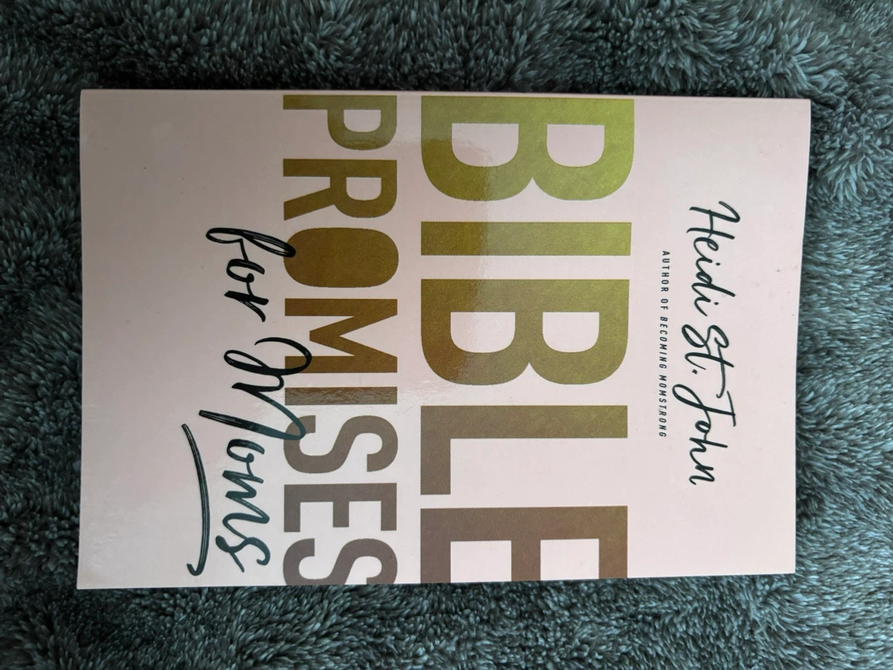 Bible Promises for Moms by Heidi St. John