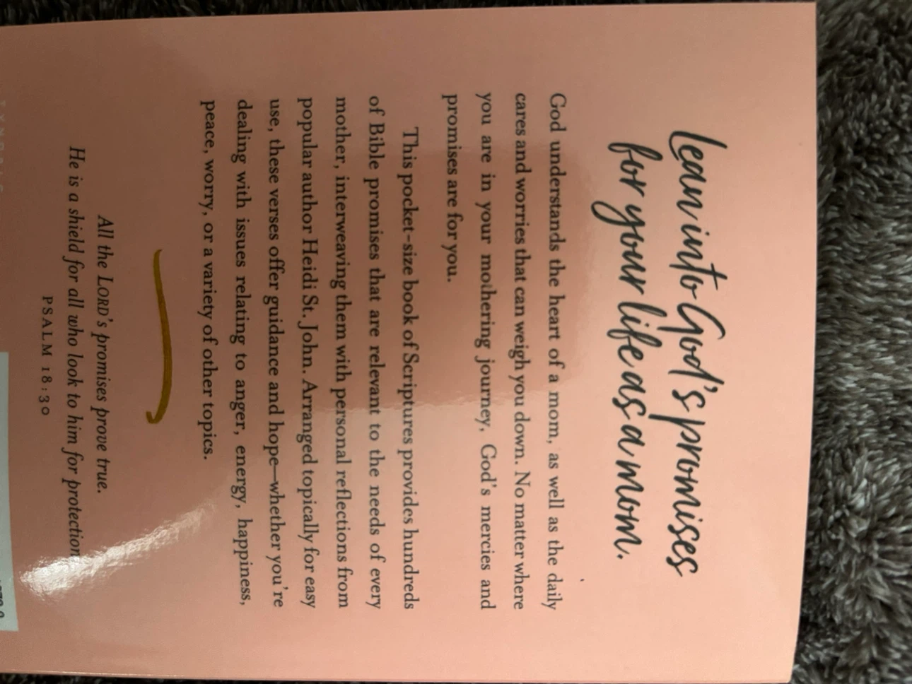 Bible Promises for Moms by Heidi St. John - photo 2