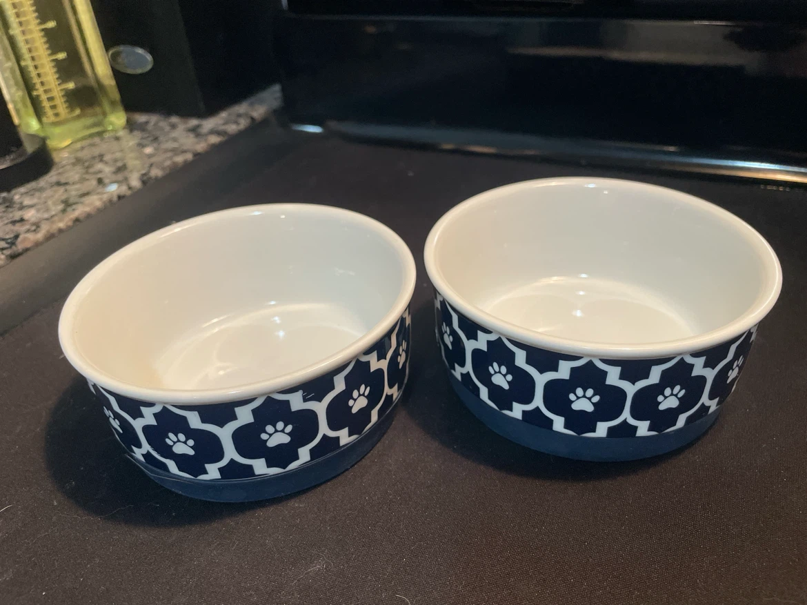 Set of 2 Ceramic Pet Bowls