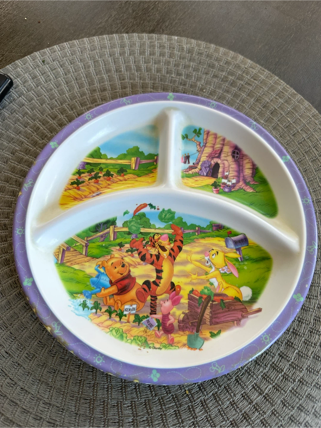 Disney Winnie the Pooh Tigger Eeyore Divided Plate
