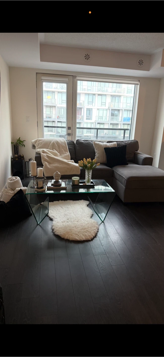 Grey sectional sofa with pull out sofa bed