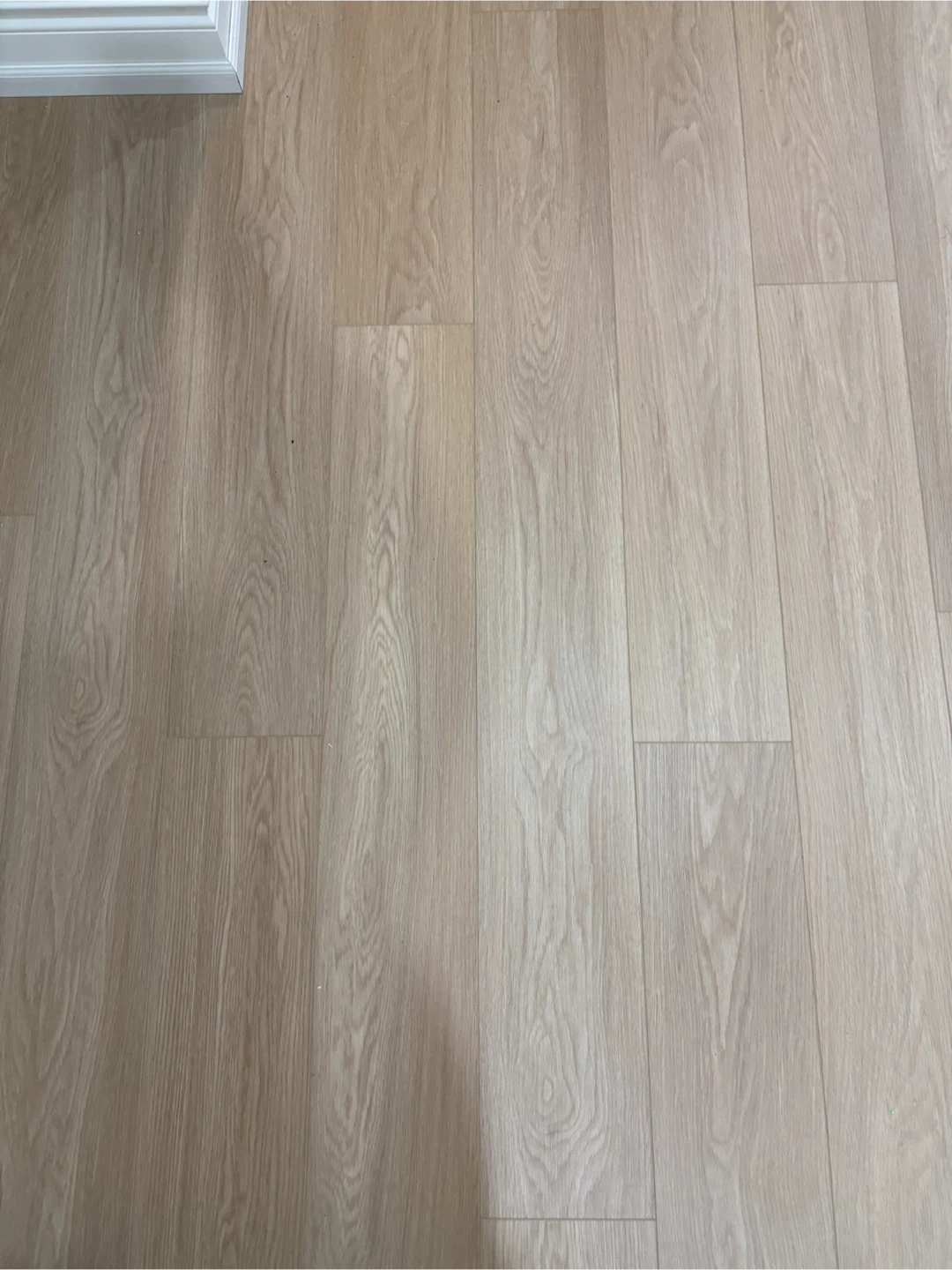 Vinyl Hardwood Floor - photo 3