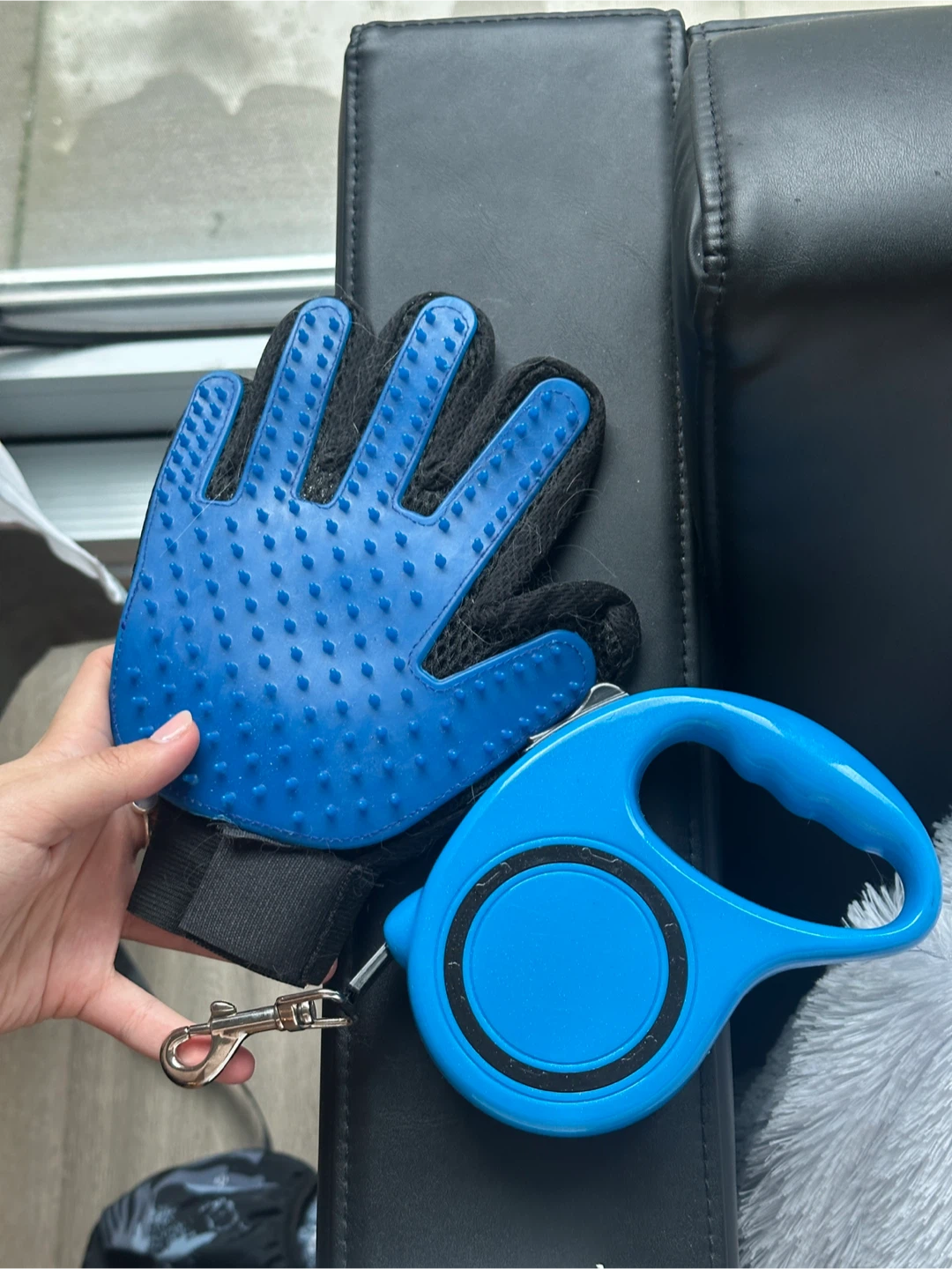 Pet Grooming Glove and Retractable Leash Set