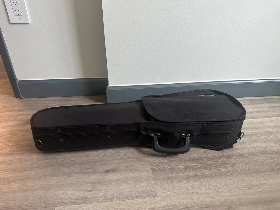 Violin