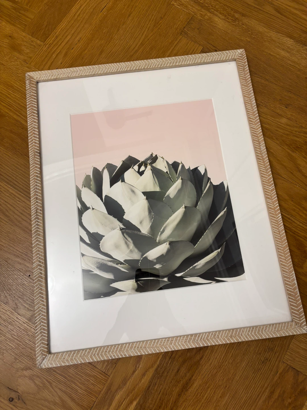 Medium/ Large Framed Jane Wilder Succulent Print