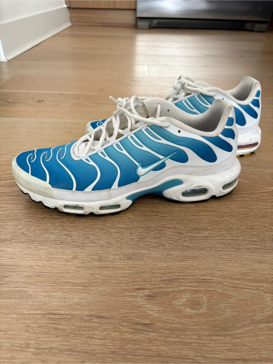 Nike Air Max Plus - sz 13
