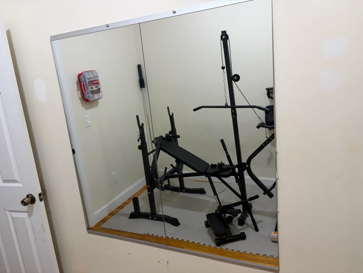 Gym mirrors