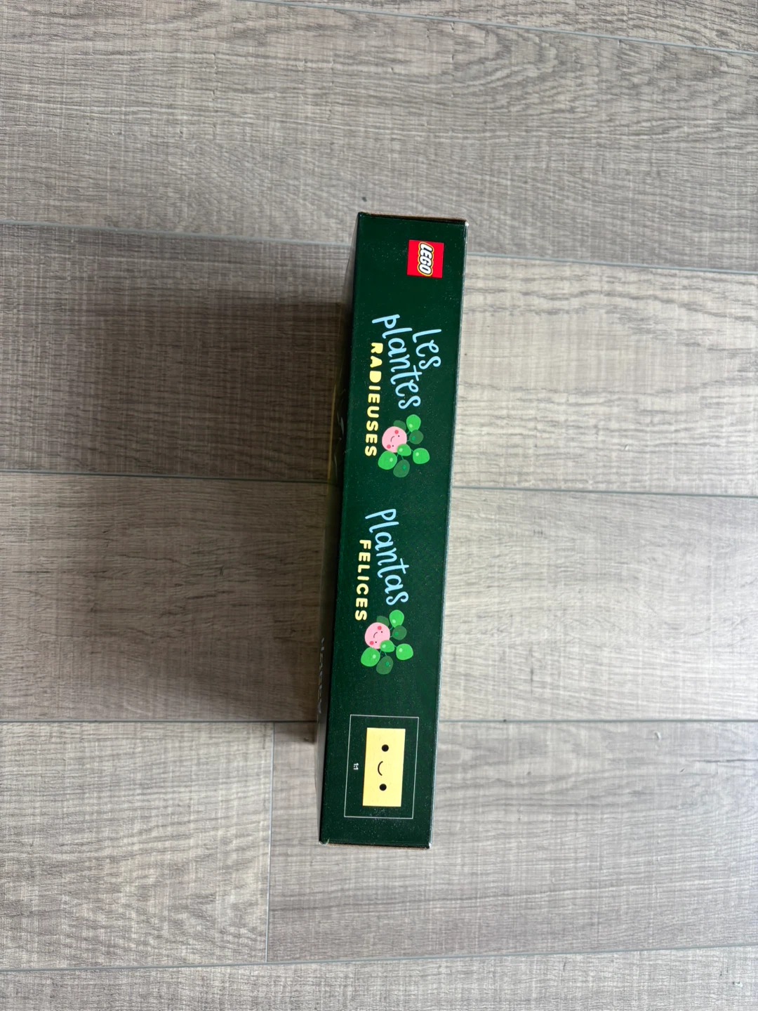 BRAND-NEW LEGO Botanicals Happy Plants Set - photo 3